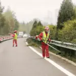 Highway maintenance workers clearing vegetation beside a steel guardrail within a cone-separated work area