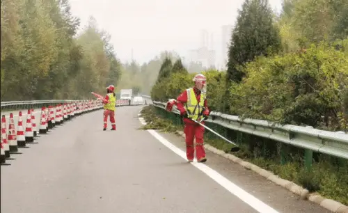 Highway maintenance workers clearing vegetation beside a steel guardrail within a cone-separated work area