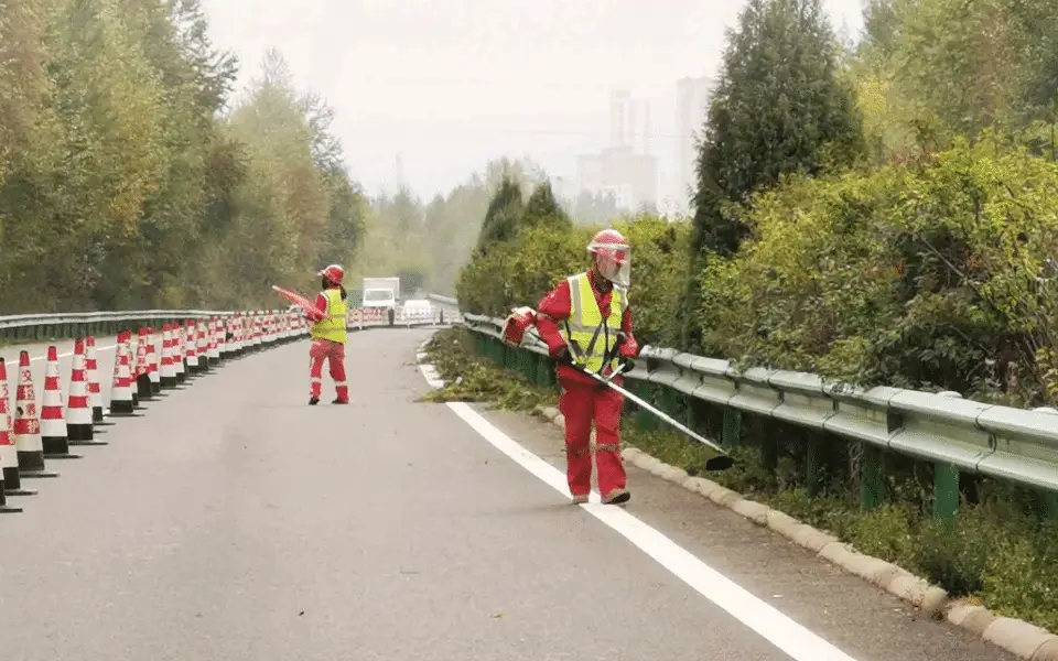 Highway maintenance workers clearing vegetation beside a steel guardrail within a cone-separated work area