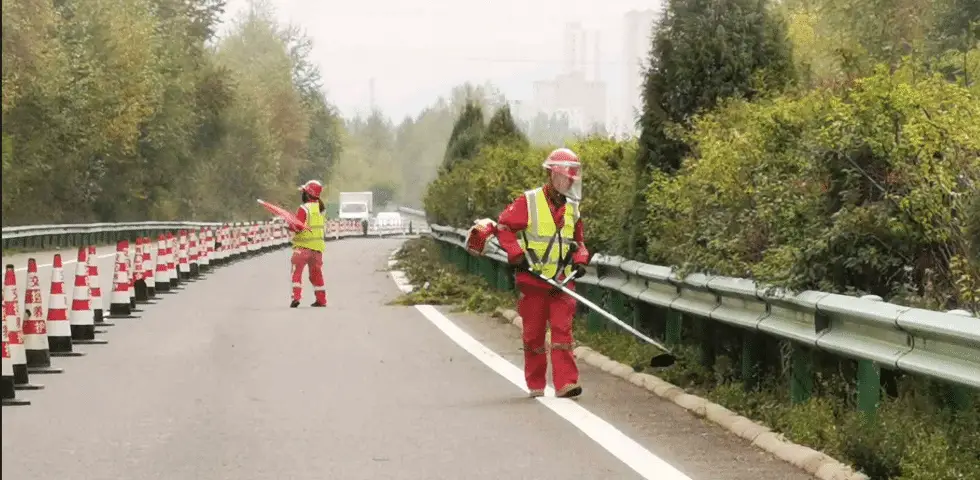 Highway maintenance workers clearing vegetation beside a steel guardrail within a cone-separated work area
